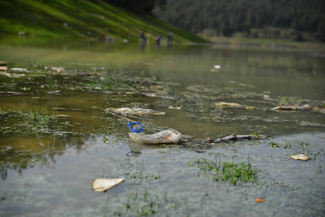 Demirtaş Barajı’nın kıyısı, piknikçilerin bıraktığı atıklarla çöplüğe döndü: Hayvanlar atıklardan zehirleniyor 2